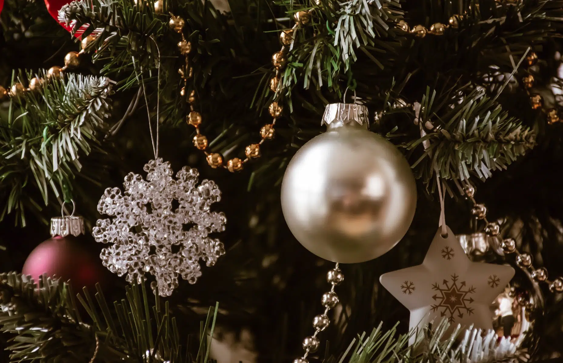 sapin de noel